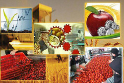 ۵۰۰ تن انواع محصولات کشاورزی به اقلیم کردستان عراق صادر شد
