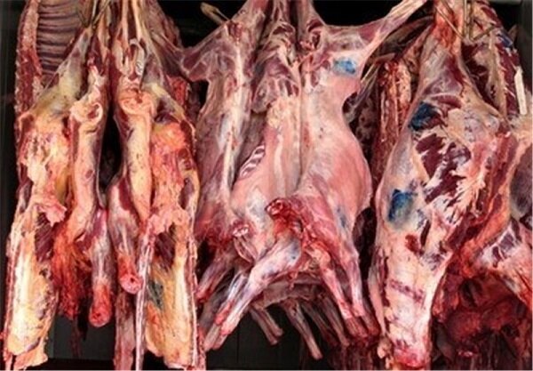۲۷ هزار تن گوشت قرمز در چهارمحال و بختیاری تولید شد