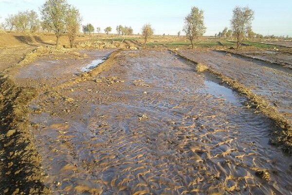 سیلاب در ۹۵ درصد اراضی کشاورزی استان‌های سیل‌زده تخلیه شد