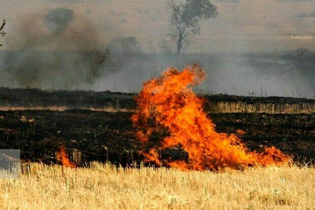 محیط زیست ایلام نسبت به آتش سوزی های مزارع بی تفاوت است