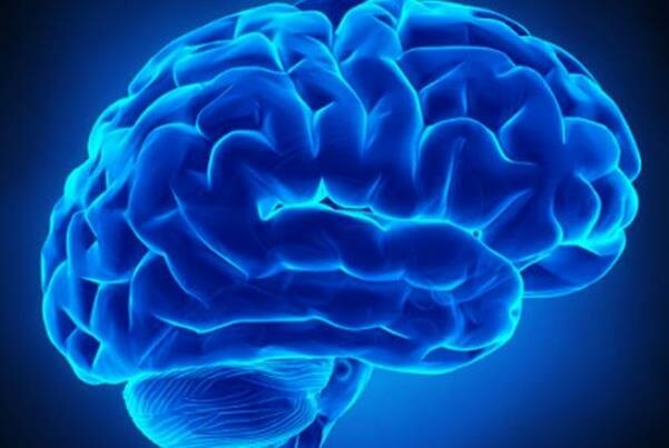 برگزاری مراسم «هفته آگاهی از مغز» به سال آینده موکول شد 