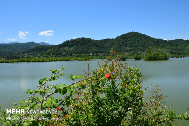 Estil Lagoon hosts nesting birds 