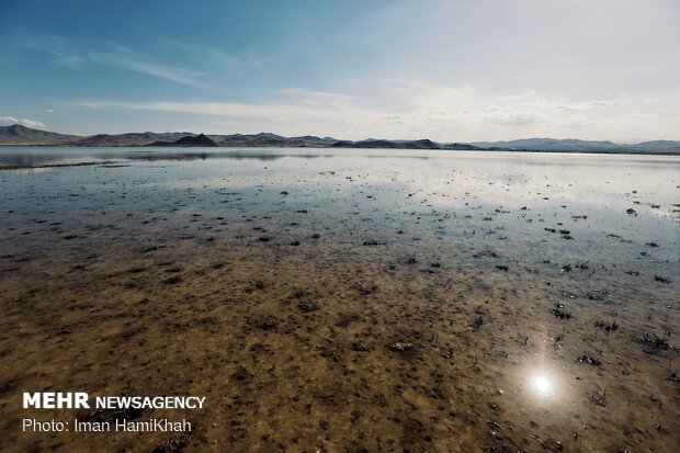 Return of migratory birds to Agh-Gol Wetland