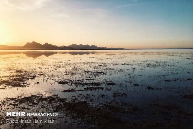 Return of migratory birds to Agh-Gol Wetland