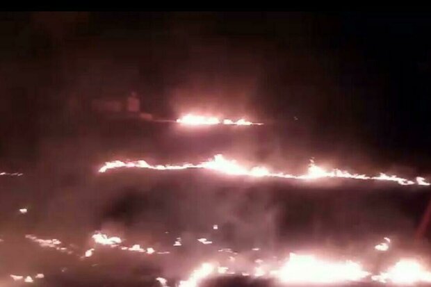 آتش به جان مزارع روستای «چم گرداب» پلدختر افتاد