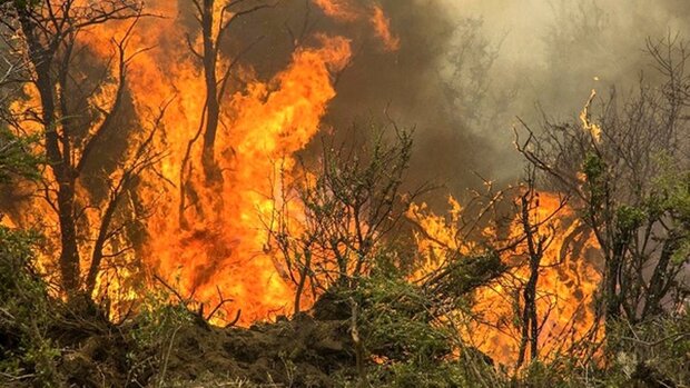  شروع مجدد آتش سوزی در مراتع مشرف به جنگل‌های ارسباران