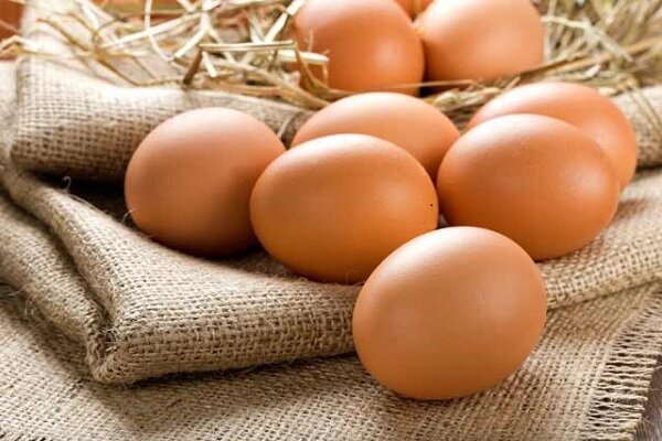 مصرف زیاد تخم مرغ خطر دیابت را افزایش می دهد
