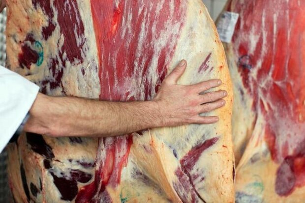 زورآزمایی برای افزایش قیمت گوشت قرمز در کهگیلویه و بویراحمد