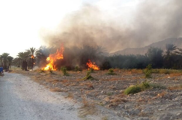 ۸۰ هکتار از مراتع دهلران در آتش سوخت 
