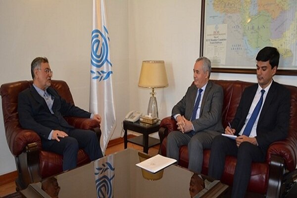 Tajikistan's amb. submits credentials to ECO secretary