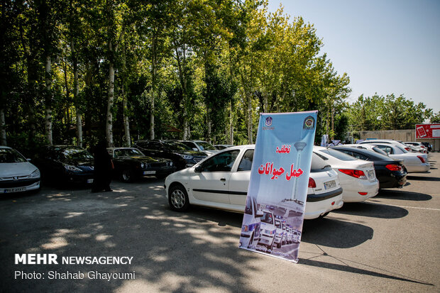 نخستین طرح برخورد با رانندگان بدون هدف و مرتکبان مزاحمت از حق عبور و مرور