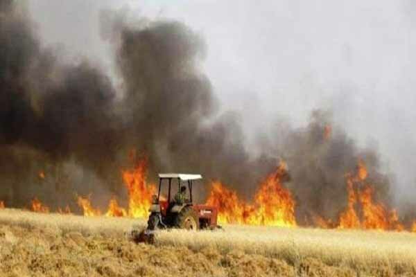 ۳ کشور عربی در پشت پرده آتش زدن محصولات کشاورزی عراق قرار دارند
