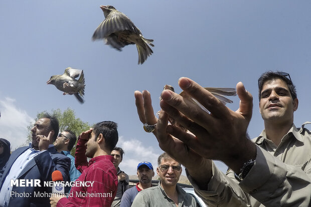 اطلاق 15 فصيلة حيوانية في محمية "خجير" شرقي طهران