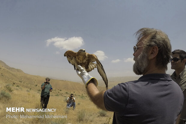رهاسازی گونه های جانوری در پارک ملی خجیر