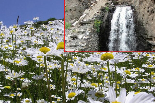 دشت «گل سفید» و آبشار «حاجی آباد» ملارد گردشگران را فرا می خواند