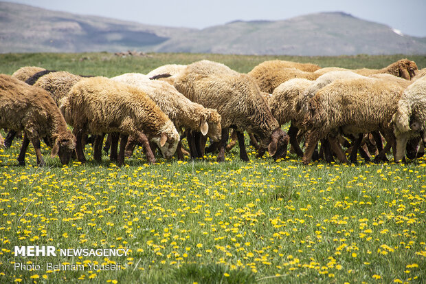 Heaven on earth in Northwestern Iran