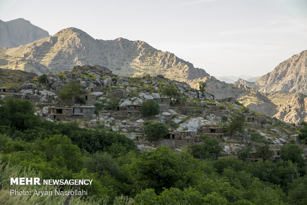 هه وار به دلیل آب و هوای مناسب در فصل گرما مکانی مناسب برای کوچ است