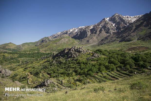 العشائر المتنقلة في جبال "هورمان" غربي ايران