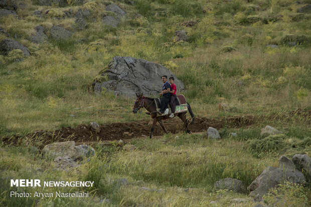 کوچ به هه وار