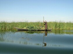 ‘Dam construction in Afghanistan will possibly leave Hamoun wetland dried’ 