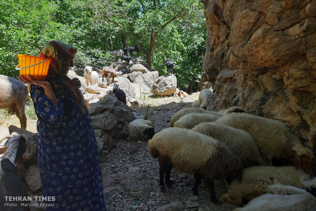Photographs show how life goes on in Iran’s Uraman village
