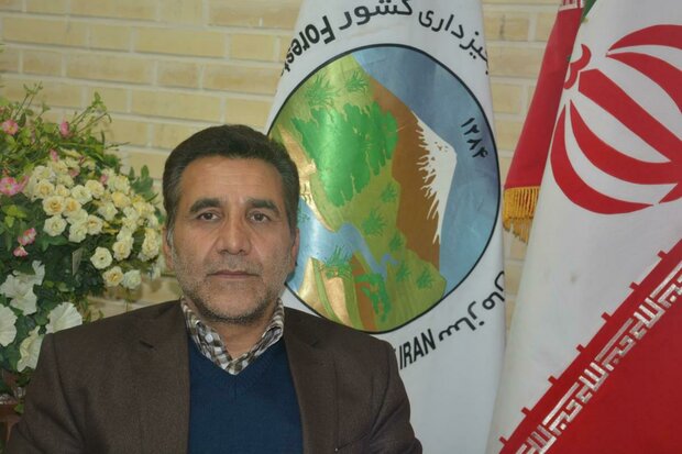 ۶۵ درصد زنان گرمساری در تهیه طرح توسعه روستایی مشارکت دارند ۶۵ درصد زنان گرمساری در تهیه طرح توسعه روستایی مشارکت دارند