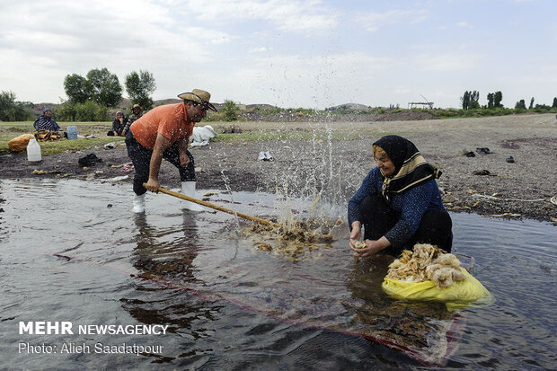 بانوان توانمند روستایی