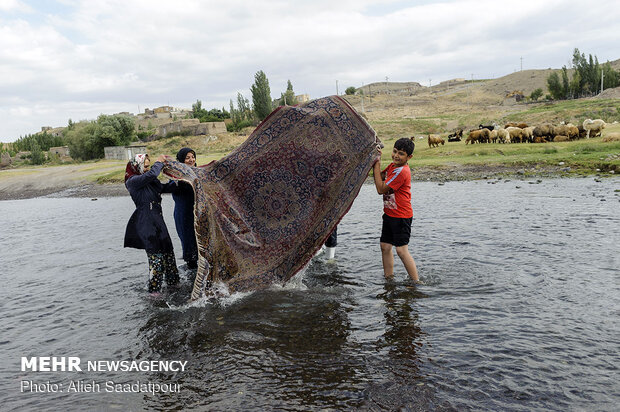 Key role of women in economy of rural families in NW Iran 