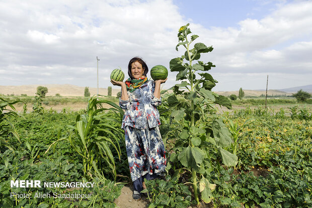 بانوان توانمند روستایی