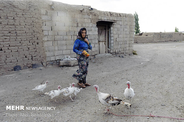 بانوان توانمند روستایی