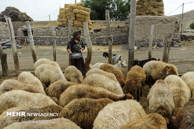 بانوان توانمند روستایی