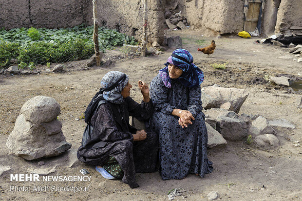 Key role of women in economy of rural families in NW Iran 