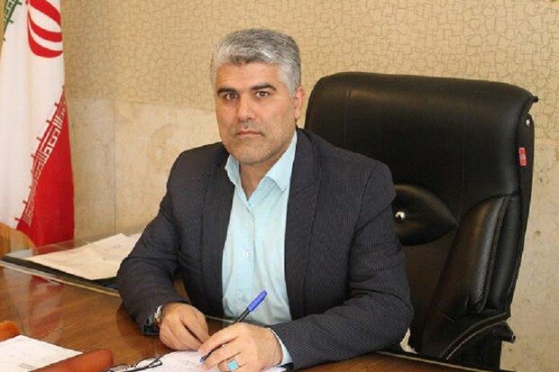 ۱۳۶ تن زیره سبز از مزارع شاهرود برداشت میشود