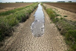 Is inter-basin water transfer a remedy to quench dry lands? 