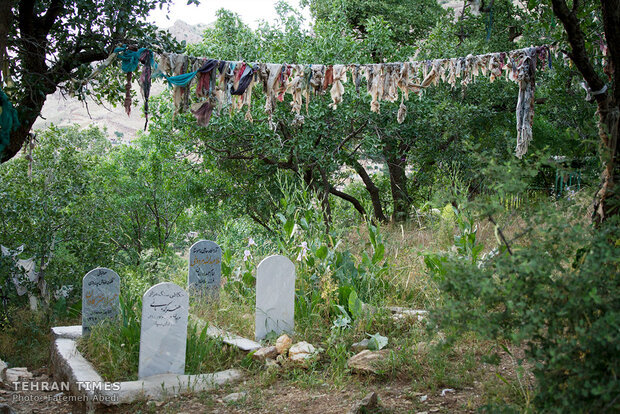 Breadwinner women in Uraman