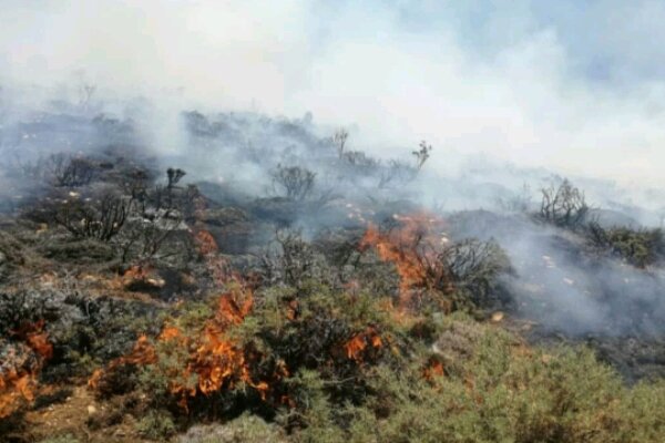  آتش سوزی در جنگلهای کوه حاتم همچنان ادامه دارد