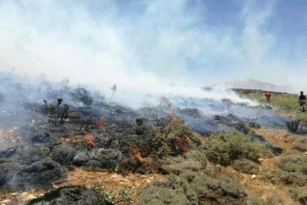 آتش سوزی عرصه های طبیعی کجور اطفا شد