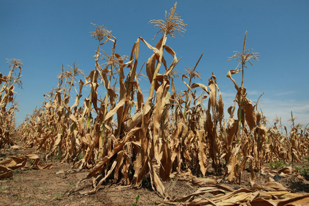 System to be set up for monitoring, forecasting agricultural drought ...