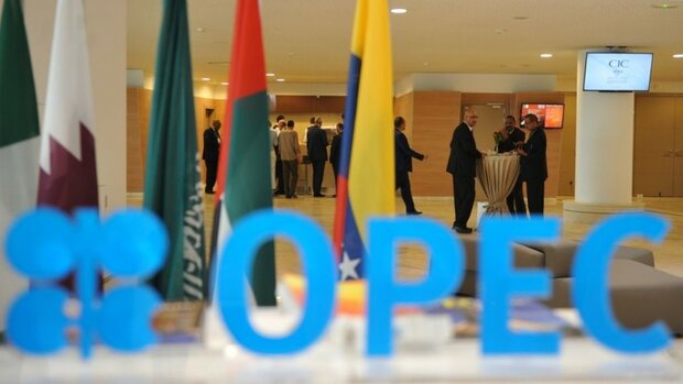 Zangeneh Meets OPEC President in Vienna