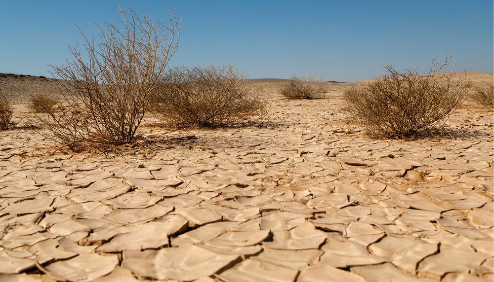 iran-becoming-more-vulnerable-to-desertification-tehran-times