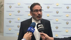 Ali Shamkhani, secretary of Iran's Supreme National Security Council