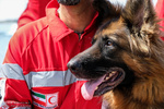 VIDEO: Red Crescent rescue dogs applauded by Iranians
