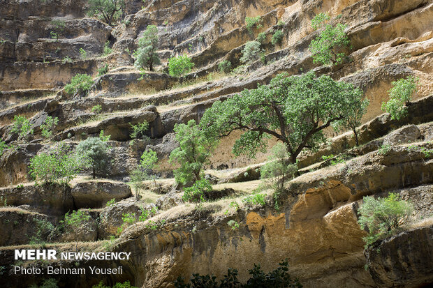 'Shirz' Canyon in Kuhdasht