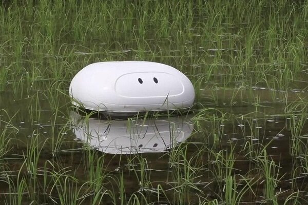 ربات پاکسازی مزارع برنج از راه رسید