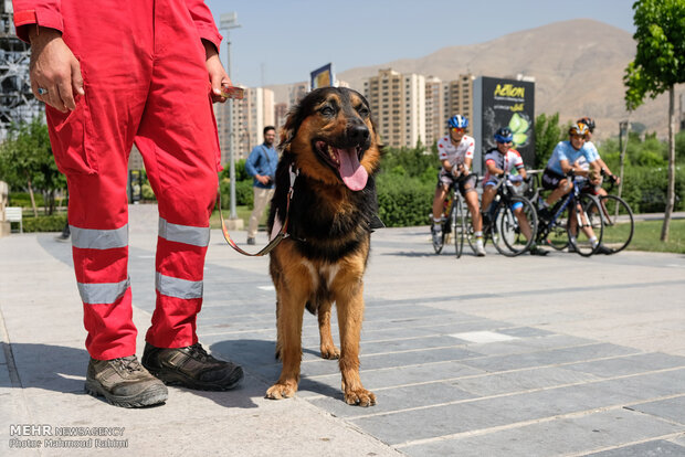 Red Crescent sniffing dogs drill in Tehran