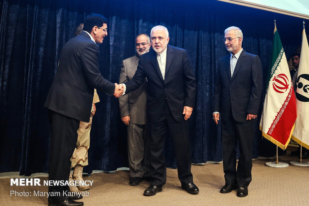 Zarif in fighting illegal drugs conf.