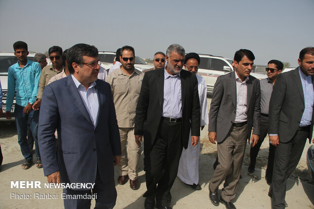 بازدید وزیر جهاد کشاورزی از مناطق آلوده به ملخ