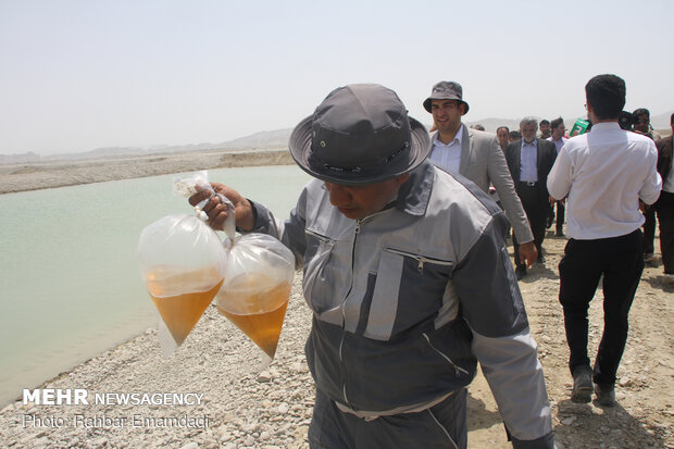 بازدید وزیر جهاد کشاورزی از مناطق آلوده به ملخ