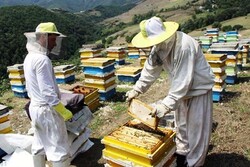$4.2b earmarked for job generation in rural areas