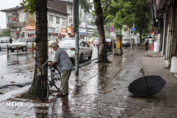 Summer rainfall in Rasht